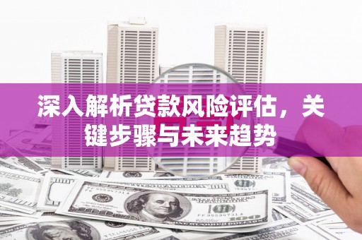兰州深入解析贷款风险评估，关键步骤与未来趋势