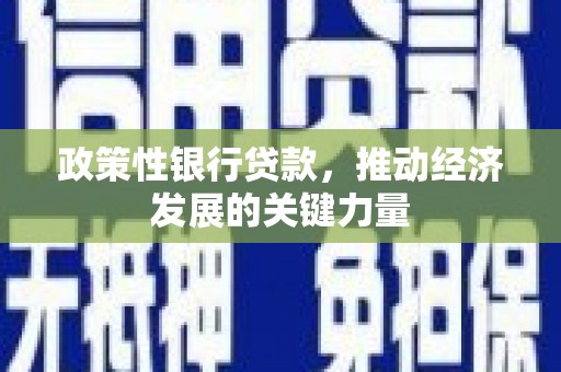 兰州政策性银行贷款，推动经济发展的关键力量