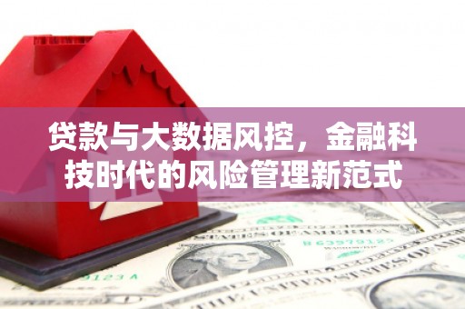 兰州贷款与大数据风控，金融科技时代的风险管理新范式