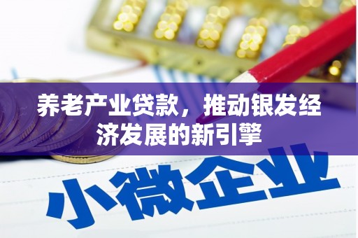 兰州养老产业贷款，推动银发经济发展的新引擎