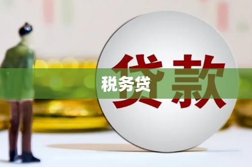 兰州税务贷