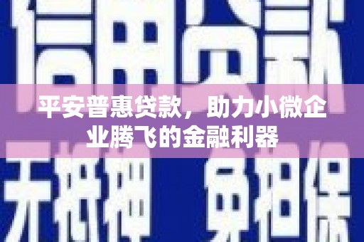 兰州平安普惠贷款，助力小微企业腾飞的金融利器