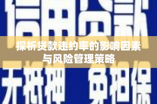 兰州探析贷款违约率的影响因素与风险管理策略