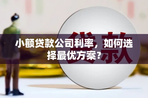 兰州小额贷款公司利率，如何选择最优方案？