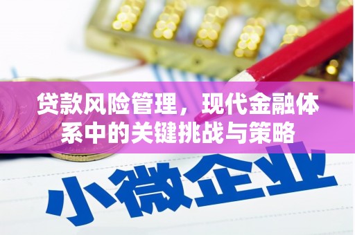 兰州贷款风险管理，现代金融体系中的关键挑战与策略