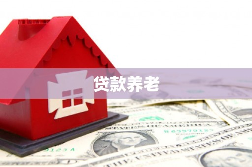 兰州贷款养老