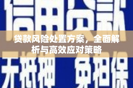 兰州贷款风险处置方案，全面解析与高效应对策略