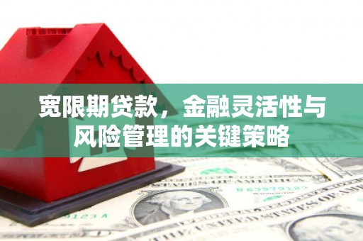 兰州宽限期贷款，金融灵活性与风险管理的关键策略