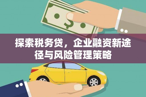 兰州探索税务贷，企业融资新途径与风险管理策略