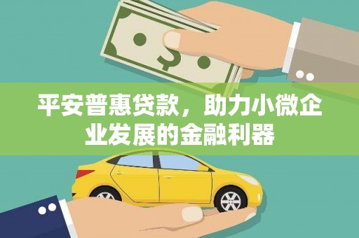兰州平安普惠贷款，助力小微企业发展的金融利器