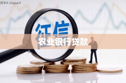 兰州农业银行贷款