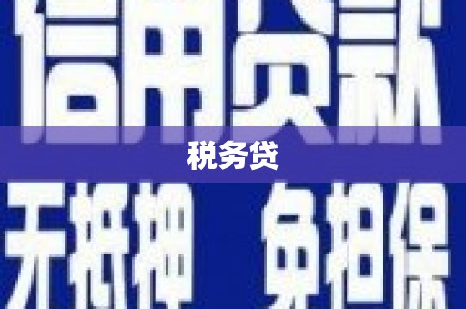 兰州税务贷
