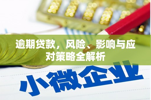 兰州逾期贷款，风险、影响与应对策略全解析