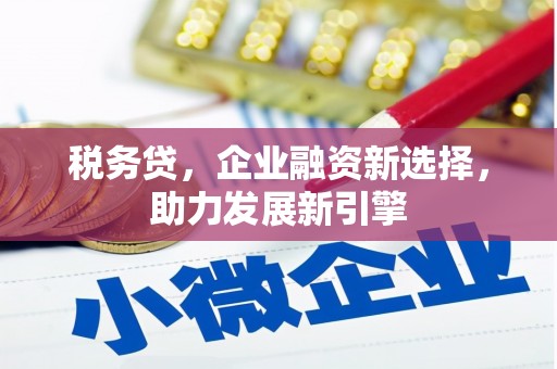兰州税务贷，企业融资新选择，助力发展新引擎