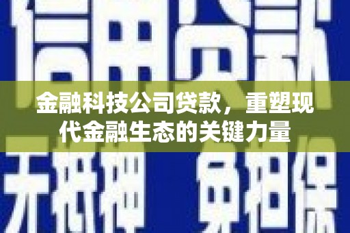 兰州金融科技公司贷款，重塑现代金融生态的关键力量