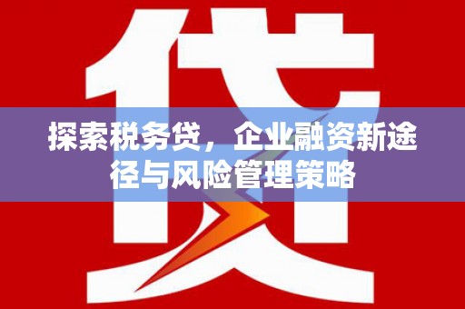 兰州探索税务贷，企业融资新途径与风险管理策略