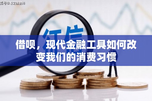 兰州借呗，现代金融工具如何改变我们的消费习惯