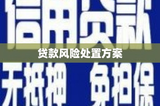 兰州贷款风险处置方案