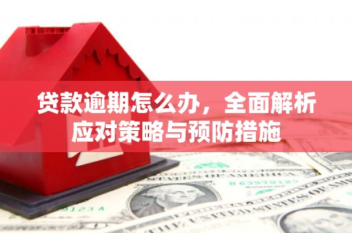 兰州贷款逾期怎么办，全面解析应对策略与预防措施
