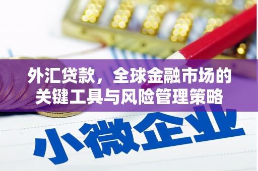 兰州外汇贷款，全球金融市场的关键工具与风险管理策略