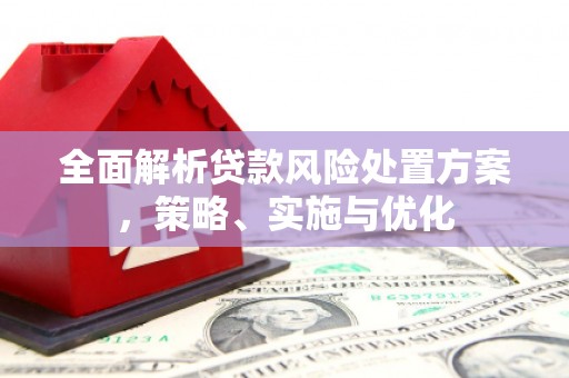 兰州全面解析贷款风险处置方案，策略、实施与优化