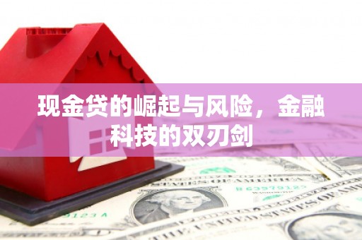 兰州现金贷的崛起与风险，金融科技的双刃剑