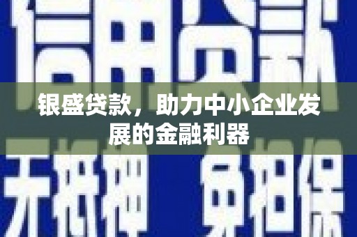 兰州银盛贷款，助力中小企业发展的金融利器