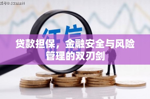 兰州贷款担保，金融安全与风险管理的双刃剑
