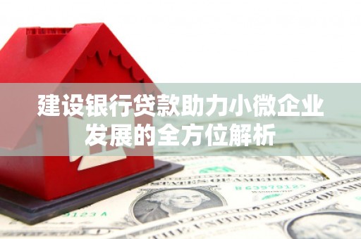 兰州建设银行贷款助力小微企业发展的全方位解析