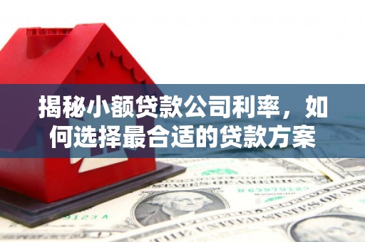 兰州揭秘小额贷款公司利率，如何选择最合适的贷款方案