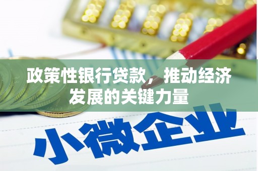 兰州政策性银行贷款，推动经济发展的关键力量
