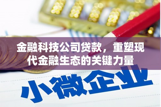 兰州金融科技公司贷款，重塑现代金融生态的关键力量