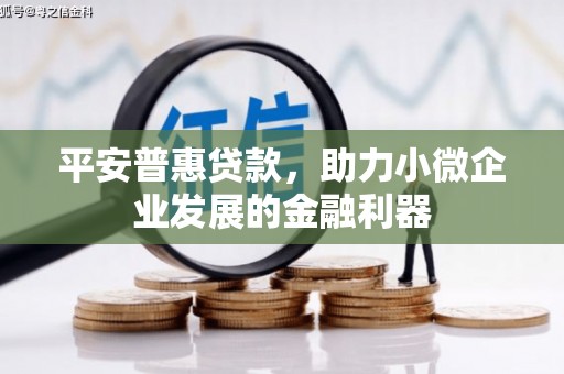 兰州平安普惠贷款，助力小微企业发展的金融利器