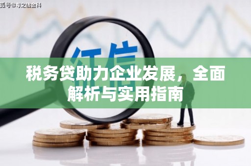 兰州税务贷助力企业发展，全面解析与实用指南