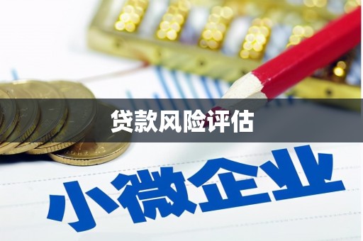 兰州贷款风险评估