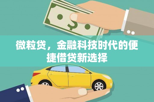 兰州微粒贷，金融科技时代的便捷借贷新选择
