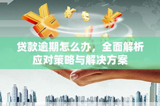 兰州贷款逾期怎么办，全面解析应对策略与解决方案