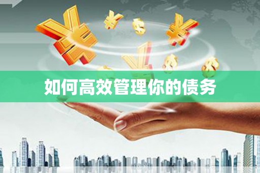 兰州如何高效管理你的债务