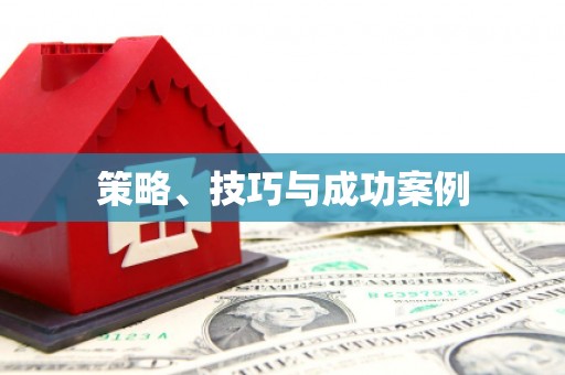 兰州策略、技巧与成功案例