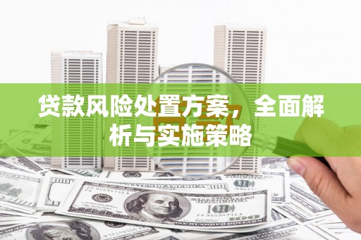 兰州贷款风险处置方案，全面解析与实施策略
