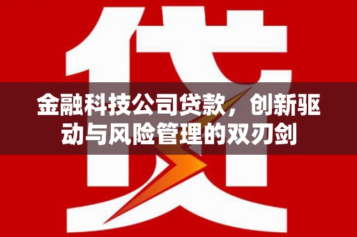 兰州金融科技公司贷款，创新驱动与风险管理的双刃剑