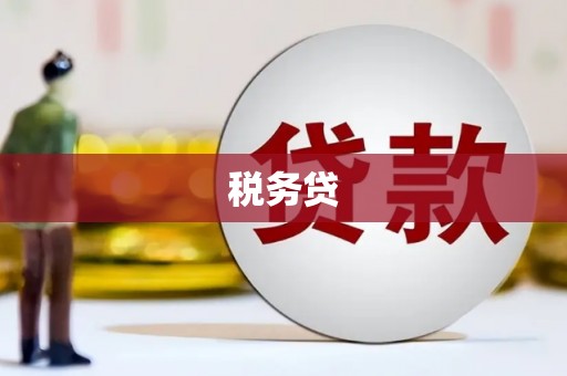 兰州税务贷